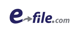 e File Taxes