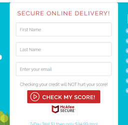 Identity IQ Credit Essentials